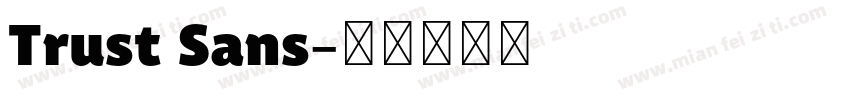 Trust Sans字体转换